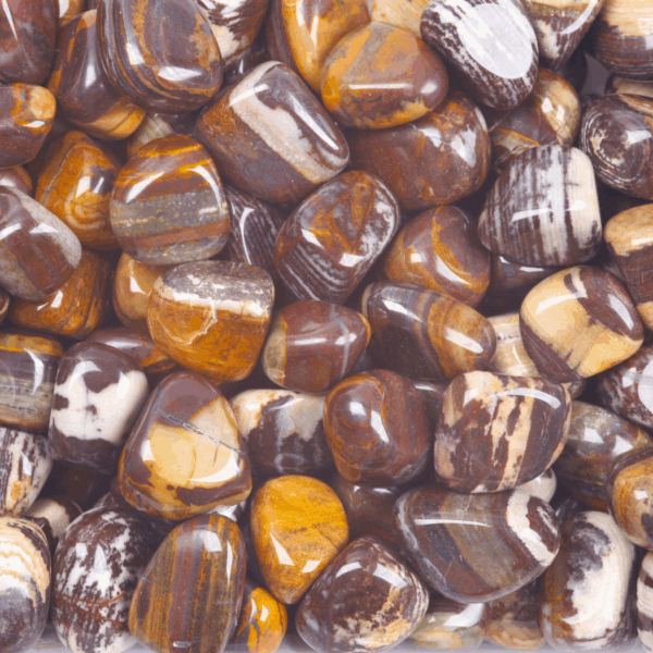 Tumble - Jasper Nguni