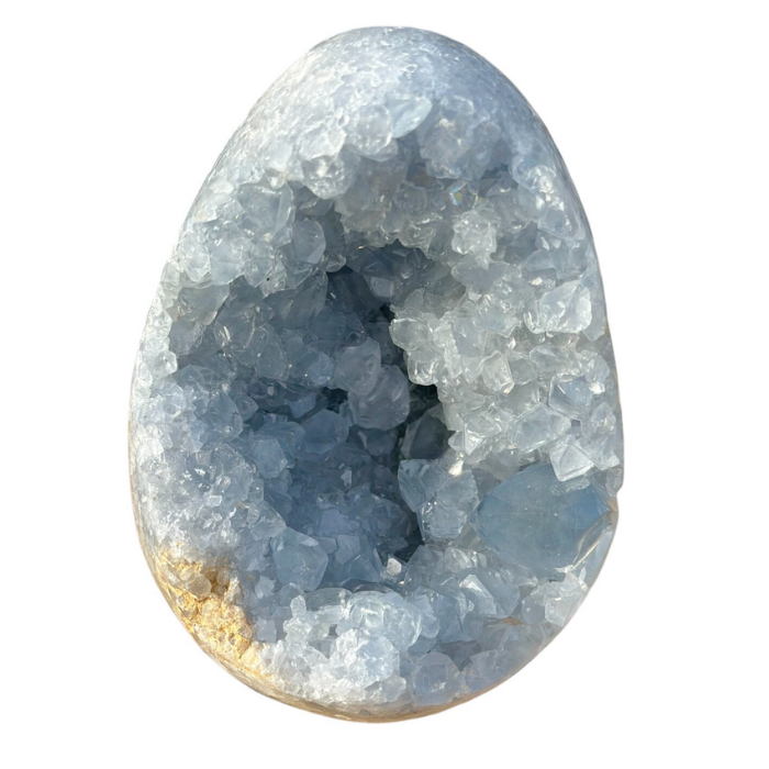 Egg - Celestine #2