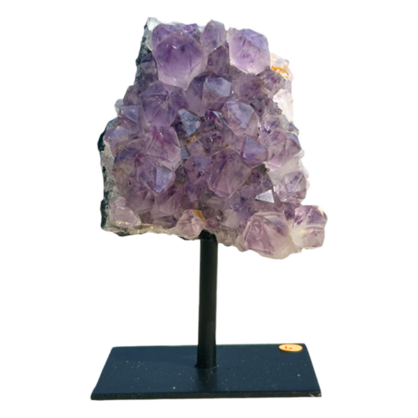 On Stand - Amethyst medi #6