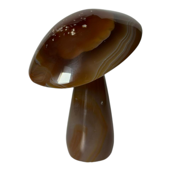 Unboxing part 4 - Mushroom - Agate #2