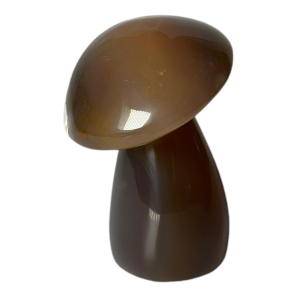 Unboxing part 4 - Mushroom - Agate #5