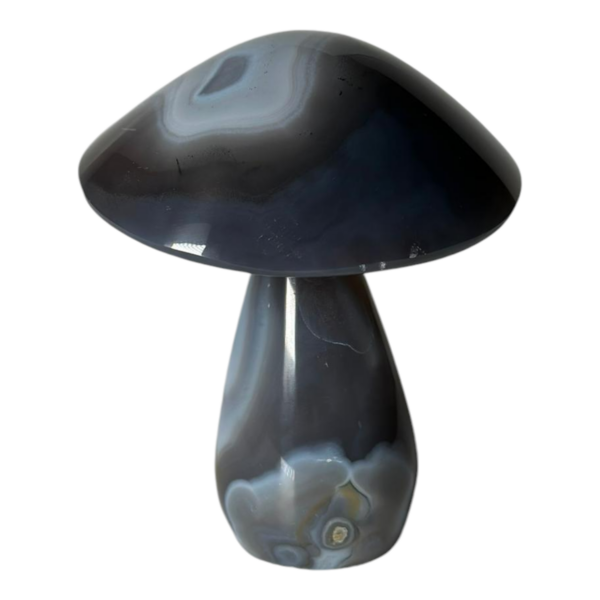 Unboxing part 4 - Mushroom - Agate #7