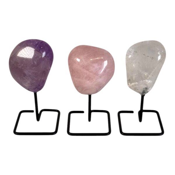 On stand - Tumble - Golden Triangle #5