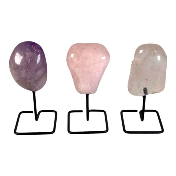 On stand - Tumble - Golden Triangle #6