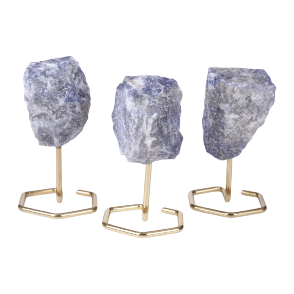 On stand - gold - Sodalite