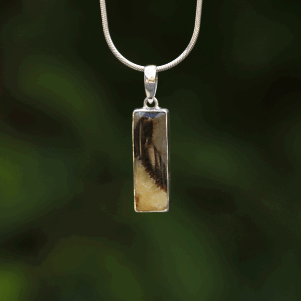 Pendant - Septaria