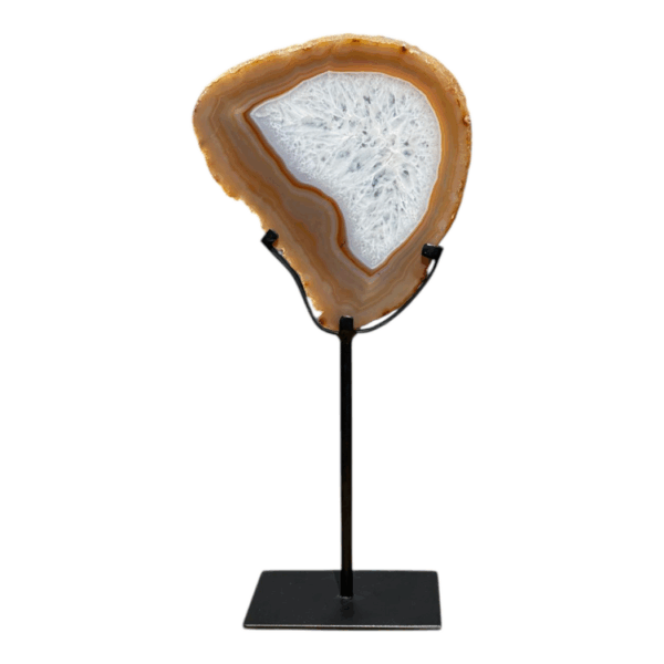 On stand - slice - Agate #50