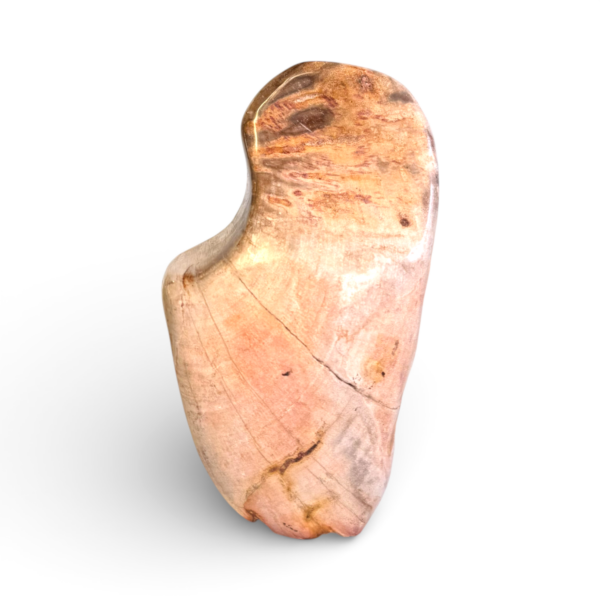 Sculpture - Petrified wood - Indonesia -1
