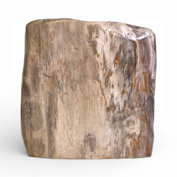Sculpture - Petrified wood - Indonesia -2