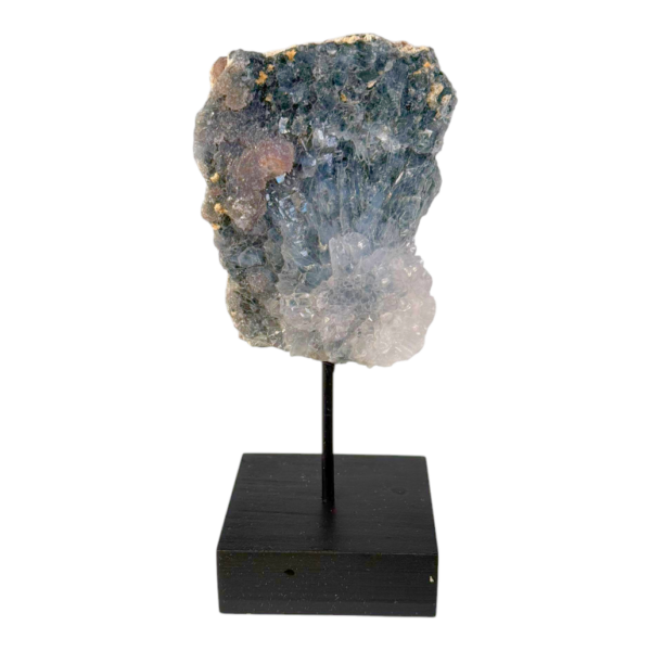 On stand - Flower Amethist #1