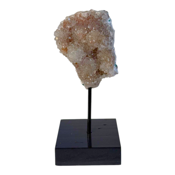 On stand - Flower Amethist #6