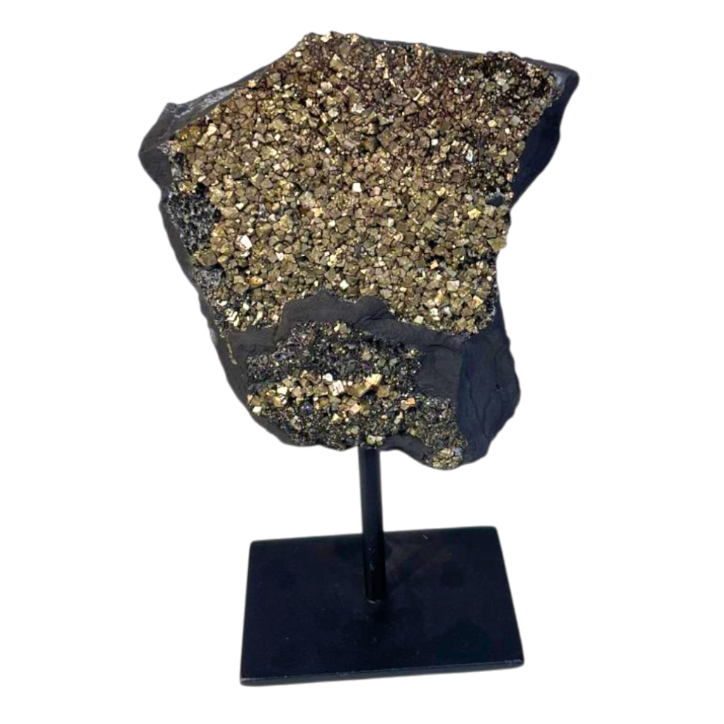 Shungite with Pyrite on metal base #3