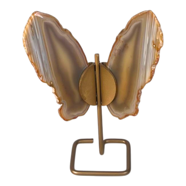 On stand - Butterfly Natural #2