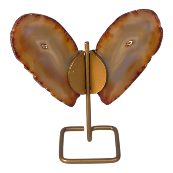 On stand - Butterfly Natural #4