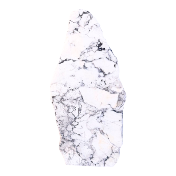 One side polished - Howlite #1