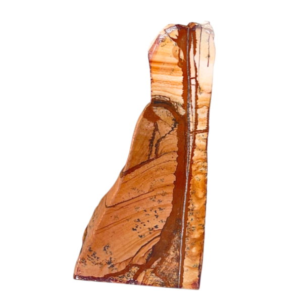 One side polished - Picture Jasper #2
