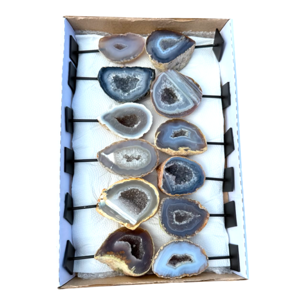 In box - Agate on stand 12 pieces #2