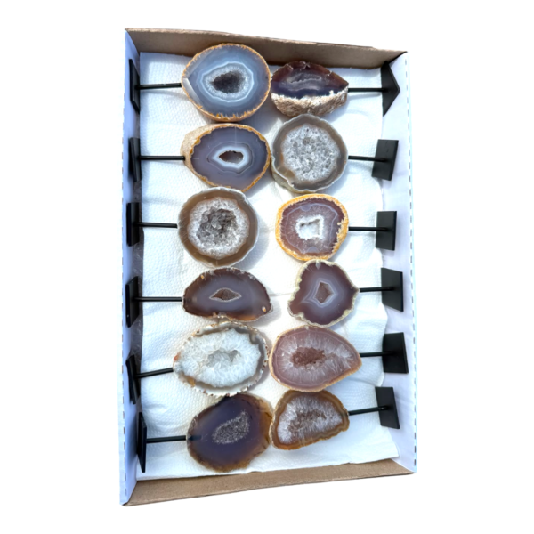 In box - Agate on stand 12 pieces #3
