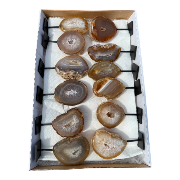 In box - Agate on stand 12 pieces #5