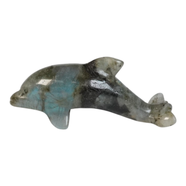 Labradorite - Dolphin - 64mm