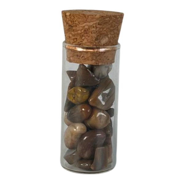 Petrified Wood - Chips Bottle