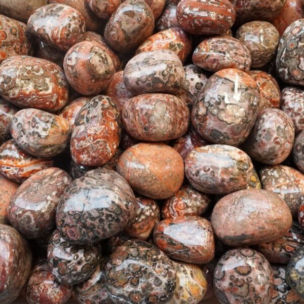 Tumble - Leopard Skin Jasper