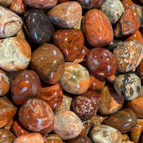 Tumble - Jasper