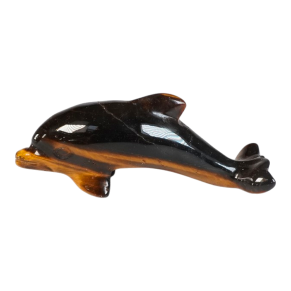 Golden Tiger Eye - Dolphin - 64mm