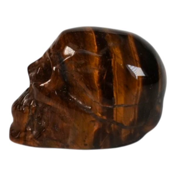 Alternative view of Golden Tiger Eye - Skull - 50mm #1