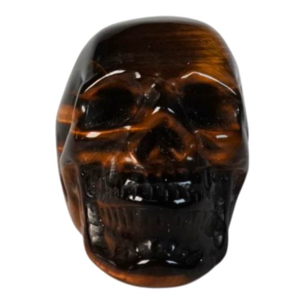 Golden Tiger Eye - Skull - 50mm #2