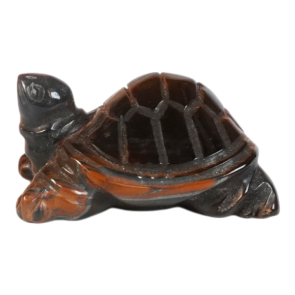 Golden Tiger Eye - Turtle
