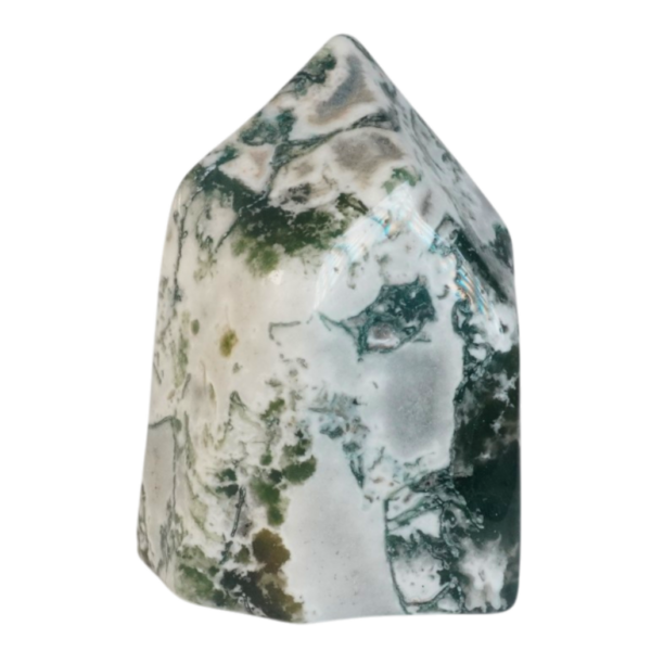 Tree Agate - Concave Sculpture