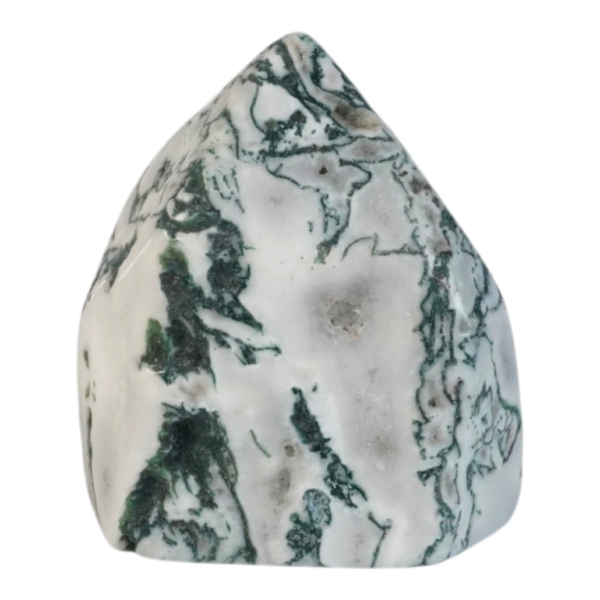 Tree Agate - Concave Sculpture
